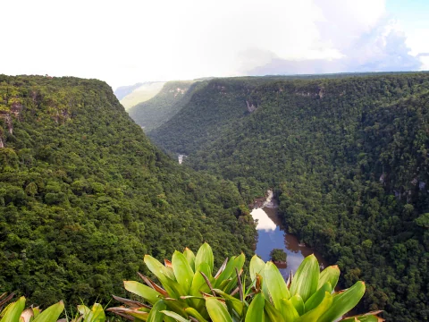 img Region 6 East Berbice Corentyne