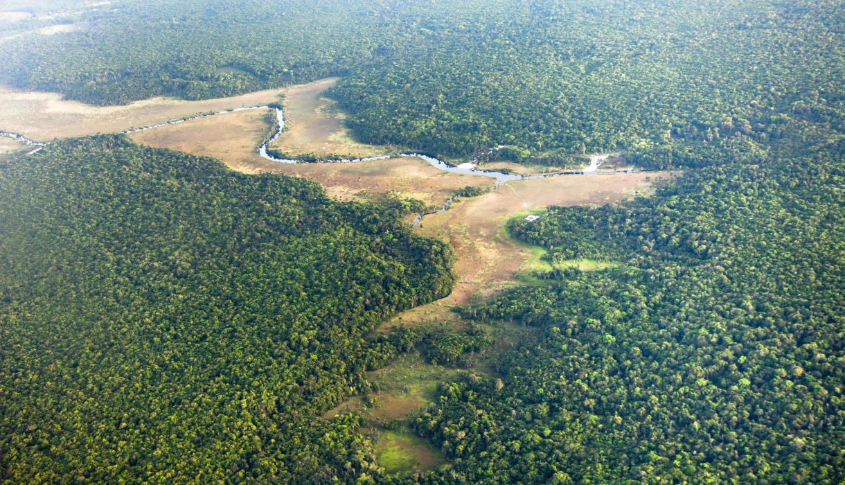 masthead land for development east berbice corentyne 2x